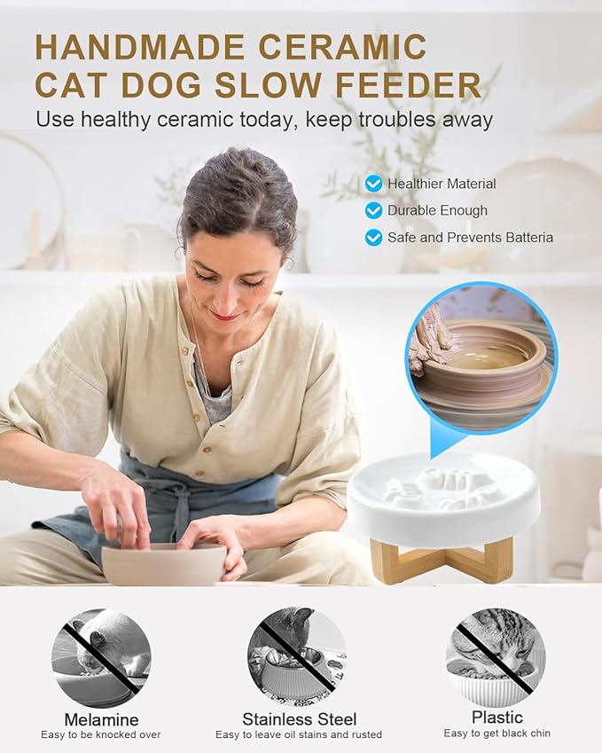 Ceramic Cat Dog Feeder, Slow Feed Bowl with Stand, 2.5'' High, 5.2'' Wide, Whisker Friendly, Easy to Clean, for Cats and Small Dogs