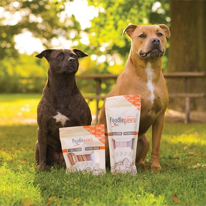 FOODIEPAWS 6 Inch Bully Sticks for Dogs, 15 Pack | All Natural, Grass-Fed Beef | High Protein, Rawhide-Free, Fully Digestible Dog Chews | Long Lasting Dental Treats for All Breeds
