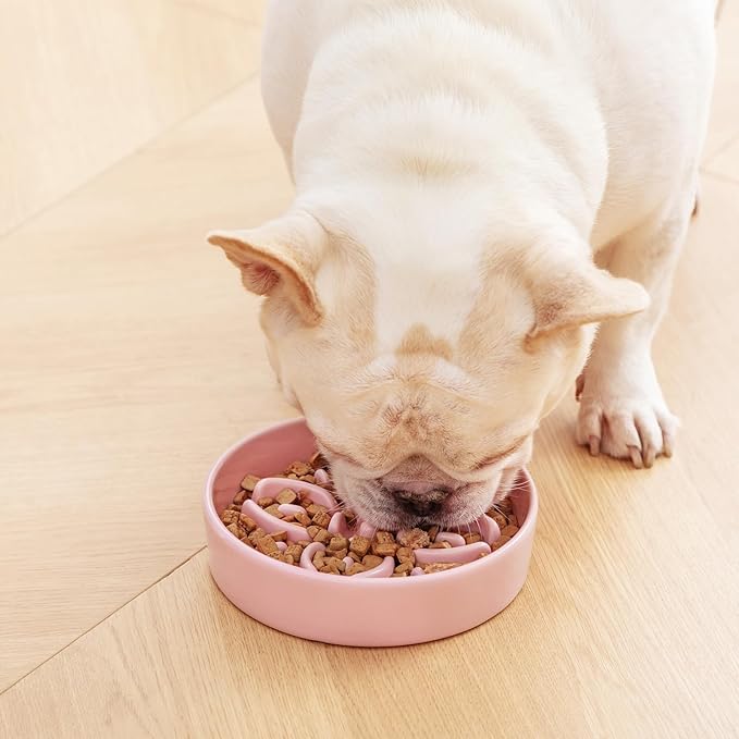 vancasso Ceramic Slow Feeder Dog Bowls, Puzzle Dog Food Bowls with Floral Maze, Anti -Slip Pet Food Dish for Small Breed, 0.6 Cups, Pink