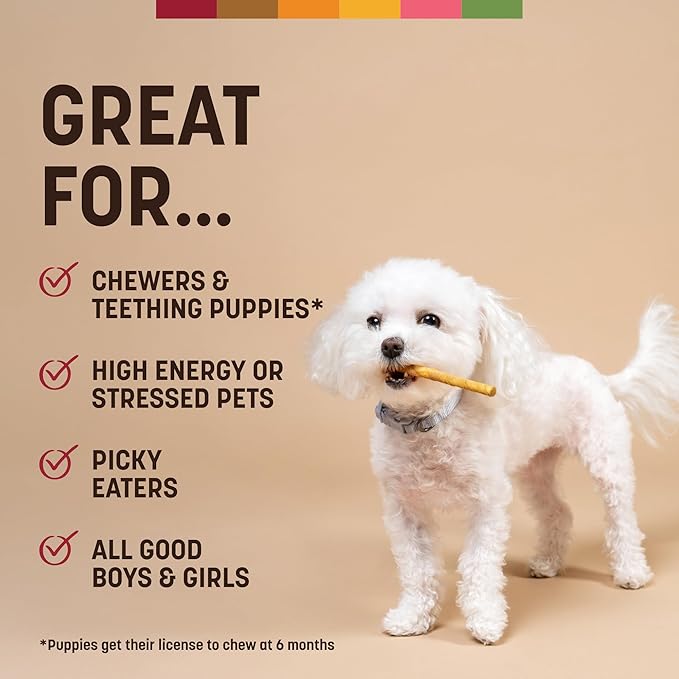 Earth Animal No Hide Stix - Long Lasting Rawhide Free Small Dog Chews Sticks, Beef - 80 Count Extra Value Pack