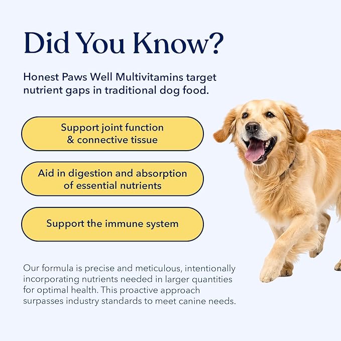 Honest Paws (90 Count) Dog Multivitamin Soft Chews with 10 Essential Vitamins - Joint, Coat, Immune, Eye & Heart Support - with Glucosamine, Chondroitin & Omega-3 - Beef Flavor