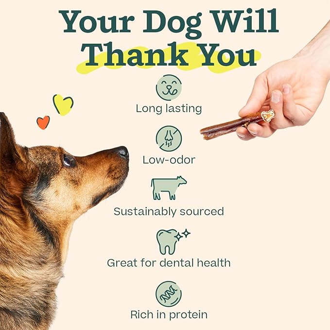 WOOF Bully Sticks Dog Treats - Chew Sticks for Dogs - Long-Lasting Dog Chew Treats - Made with Free-Range, Grass-Fed Beef - 12" Sticks - 10pk