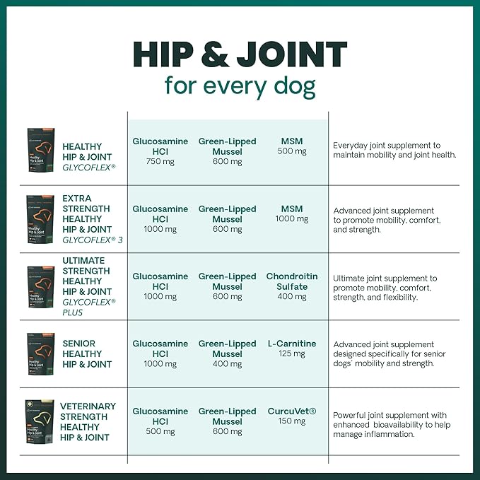 VetriScience Extra Strength Healthy Hip & Joint Chews, GlycoFlex Glucosamine and Green-Lipped Mussel Joint Support Supplement for Small Breed Dogs, Soothe Joint Discomfort, Chicken, 60 Count