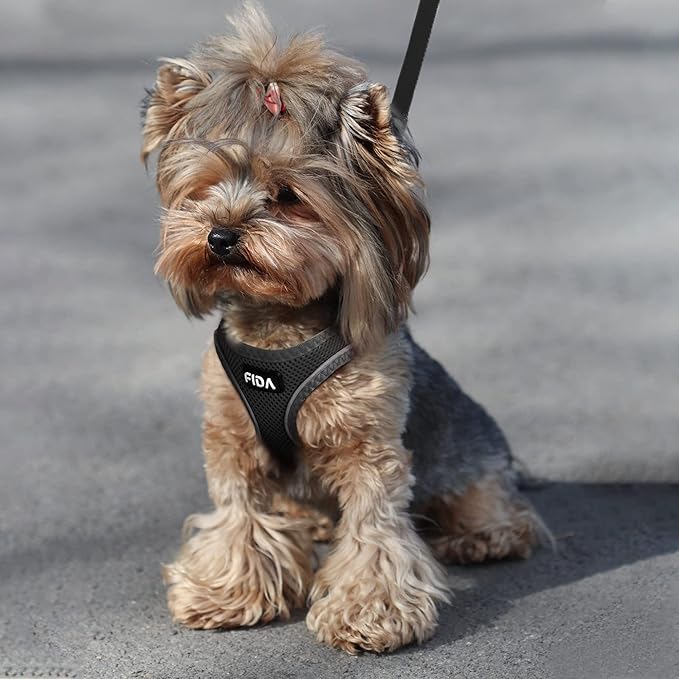 Fida Comfy Dog Harness with Leash, Soft Puppy Vest Escape Proof, Breathable Lightweight Soft Mesh, Adjustable Reflective Step-in Harness for Cat & Extra-Small Pet (XS, Black)