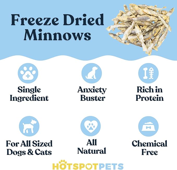 Freeze-Dried Minnows for Cats & Dogs – 100% Natural Single Ingredient Snack – High Protein, Grain-Free, Raw Diet Dog Treats – Omega-3 Fish – No Additives or Preservatives Minnows for Cats (2 Ounce)
