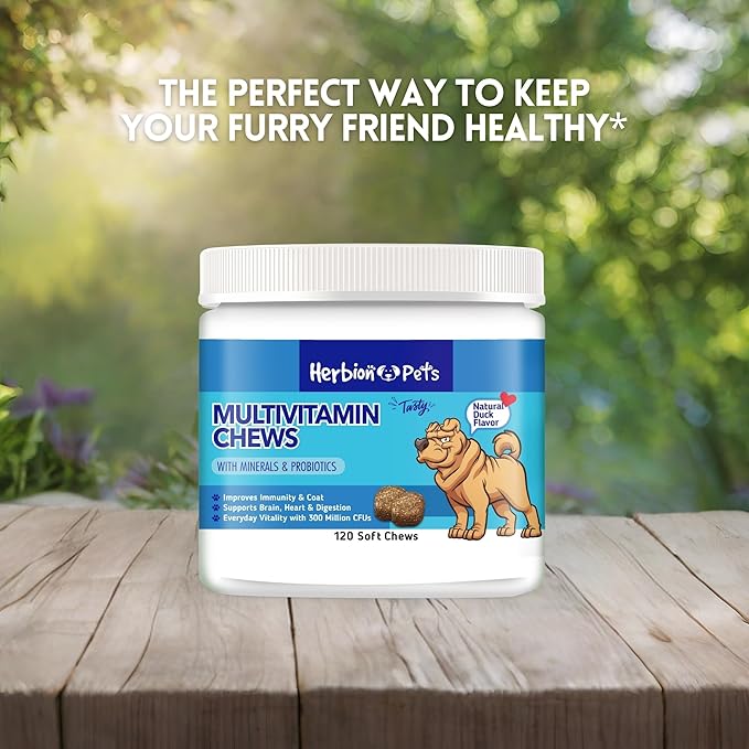 HERBION Pets Multivitamin Chews with Minerals & Probiotics, Improves Immunity & Coat, Supports Digestion, Brain & Heart Health, Delicious Natural Duck Flavor, Dog Supplements & Vitamins, Pack of 1