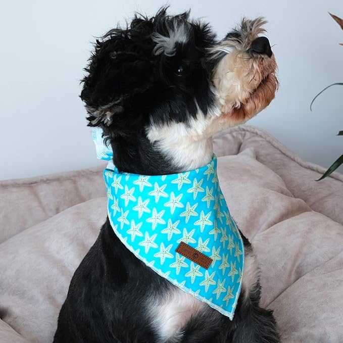 lionet paws Summer Dog Bandana Starfish for Small Medium Large Dogs, Cat Dog Kerchief Triangle Bibs Scarf for Male Female