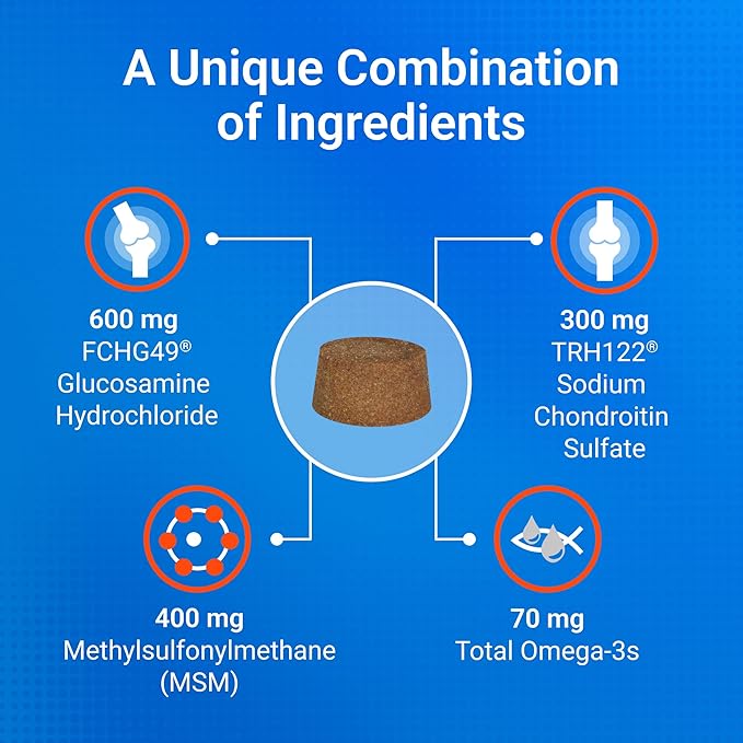 Nutramax Cosequin for Dogs Joint Health Supplement, Contains Glucosamine for Dogs, Chondroitin, MSM and Omega-3s, Supports Joint and Skin and Coat Health, Soft Chews, 60 Count