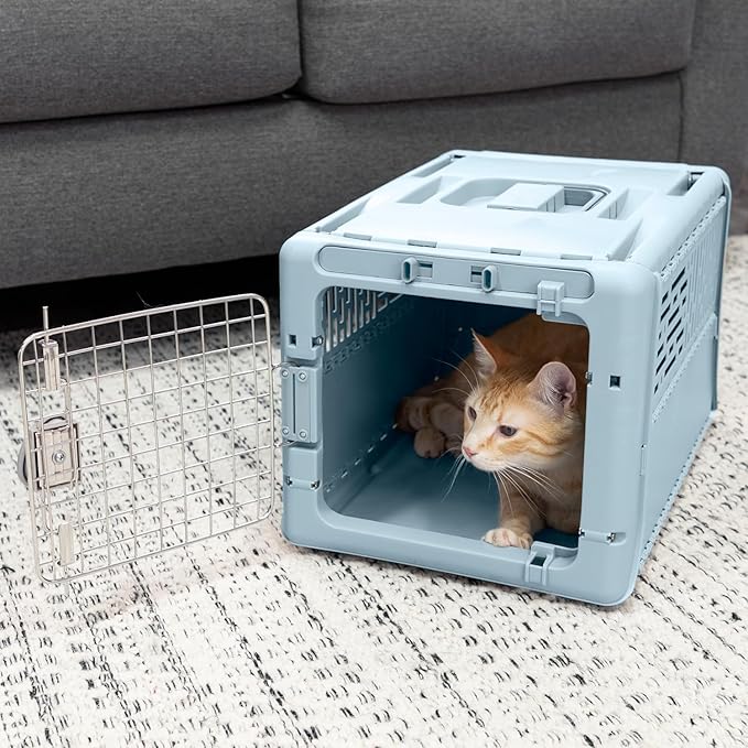 SportPet Designs Collapsible X-Small Pet Travel Carrier (Blue), Hard-Sided Kennel for Small Dogs, Puppies, Cats, Kittens, Animals up to 20lbs, Washable Home & Outdoor Pet Crate, 19.6"L x 13.5"W x 12"H