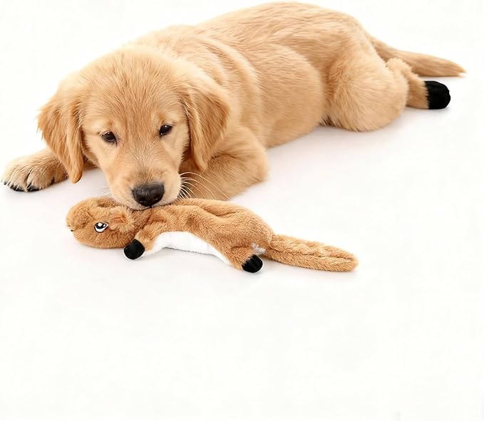 Squeaky Plush Squirrel Dog Toys, No-Stuffing Design, Set of 2, Blue and Yellow, for Small & Medium Dogs