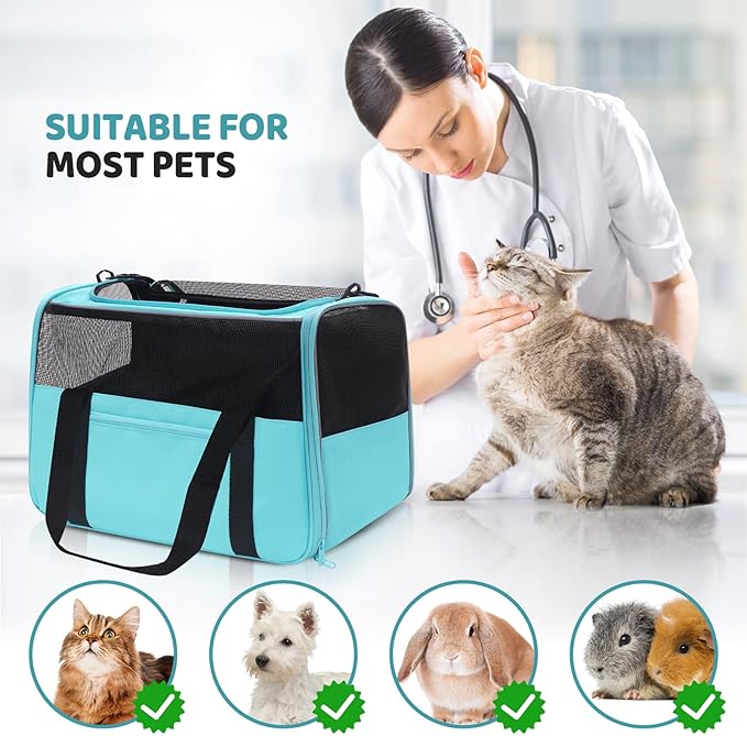 JUNGYOUN Premium Cat Carrier - Pet Carrier for Cat & Small Dogs up to 15lbs - Airline Approved Travel Dog Carrier with Anti-Escape Zippers, Collapsible Travel Bowl & Padded Strap
