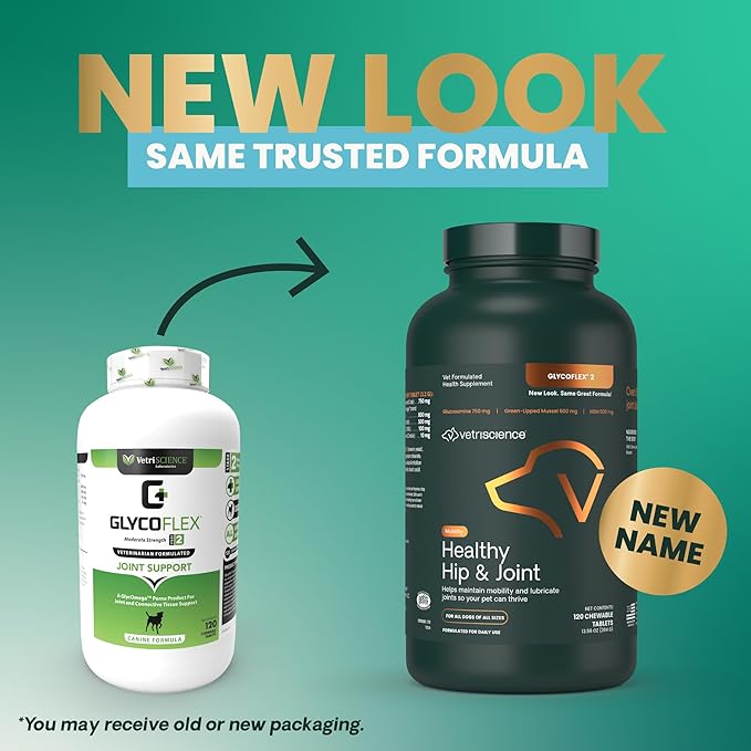 VetriScience Healthy Hip & Joint, GlycoFlex 2 for Dogs – Vet Formulated Glucosamine, MSM & Green-Lipped Mussel Tablets to Support Mobility, Flexibility & Joint Health, 120 Cnt