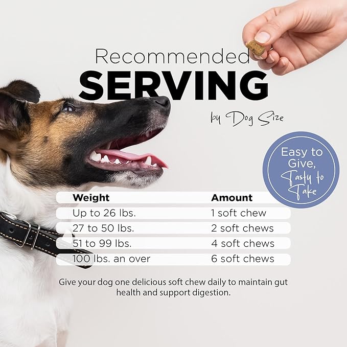 PetJoy Dog Probiotic Chews for Digestive Health - Puppy Diarrhea Probiotics for Dog Gas Relief and Gut Health - Digestive Enzymes for Dogs Diarrhea (60 Probiotics for Dogs Fiber Supplements)