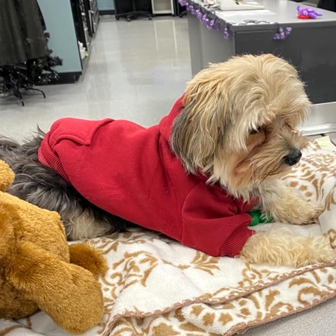 Jecikelon Winter Dog Hoodie Sweatshirts with Pockets Warm Dog Clothes for Small Dogs Chihuahua Coat Clothing Puppy Cat Custume (Wine red, Small)