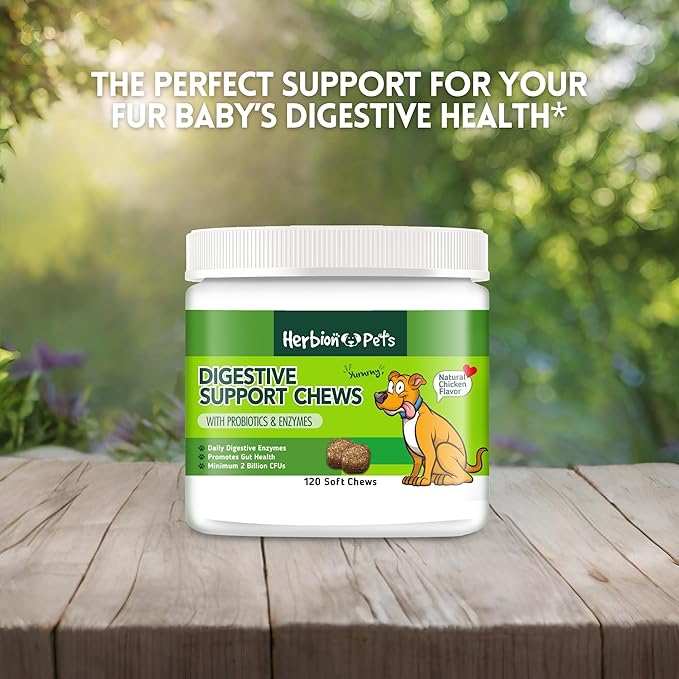 Herbion Pets Digestive Support Chews with Probiotics & Enzymes, 120 Soft Chews, with Daily Digestive Enzymes, for Improved Gut Health, Minimum 2 Billion CFUs, Made in USA for Dogs 12 Weeks+, Pack 1