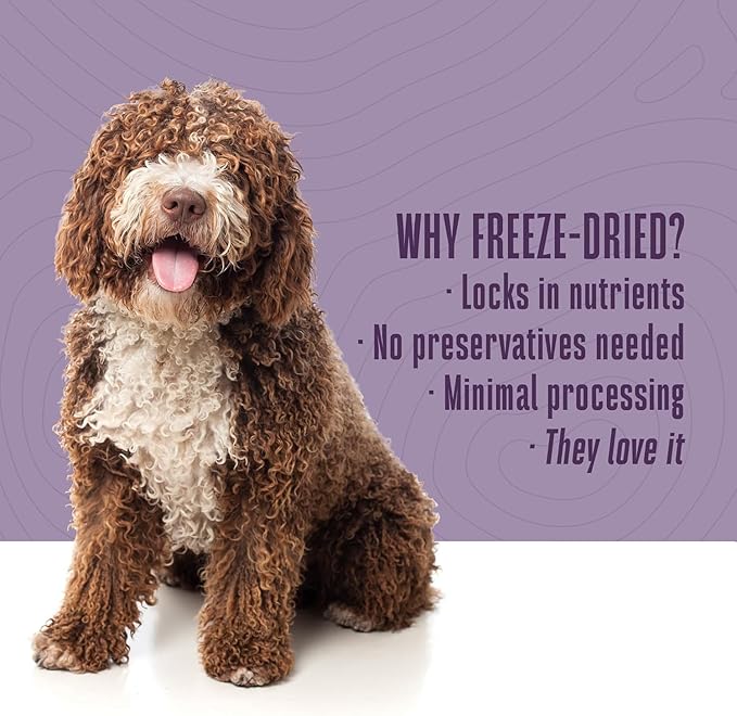 Whole Life Dog Just One Chicken Freeze Dried Dog Treats - Human Grade High Protein Food, Healthy Training Snacks, Freeze Dried Food Toppers, USA Made Natural Treats - 21 oz (Pack of 4)