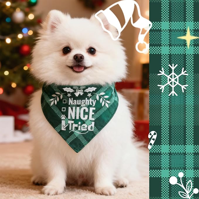 Christmas Dog Bandanas - Naughty Nice I Tried, Pets Funny Holiday Costume Gift Xmas Stocking Stuffers, Green Plaid, Small & Medium Breed, 5-25lbs