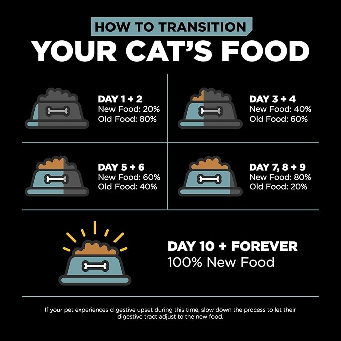 Go! Solutions Digestion + Gut Health, Dry Cat Food, Chicken Recipe with Ancient Grains, 12 lb Bag