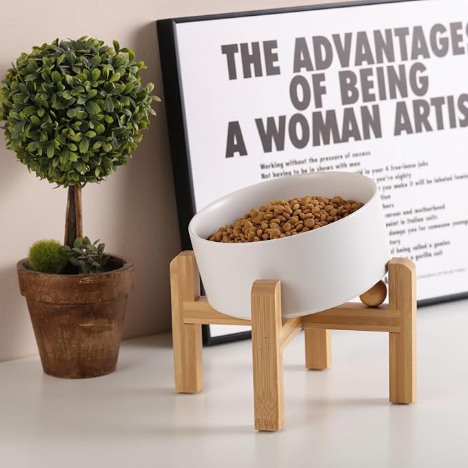 Petygooing White Elevated/Raised 15°Slanted Ceramic Dog Bowl for Small and Medium Breeds, Tilted Anti Slip Pet Feeding Bowl,Food Water Dish with Stand for Cats and Dogs (28 OZ/3.6 Cups)