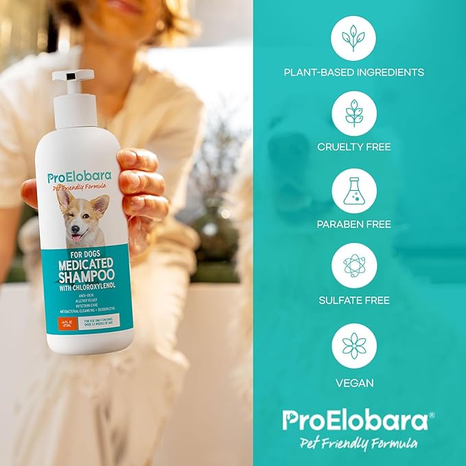 Medicated Dog Shampoo for Itchy Relief: Yeast Skin Infections and Bacterial Treatment for Dogs - Helps Hot Spots, Deodorizing, Allergy Relief - Healthy Skin & Coat - Antifungal Dog Shampoo 16 oz