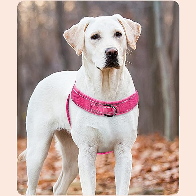 No Pull Dog Harness Pink for Small Medium Large Sized Dog, Reflective Escape Proof Adjustable Dog Harnesses with 2 Patch, XL