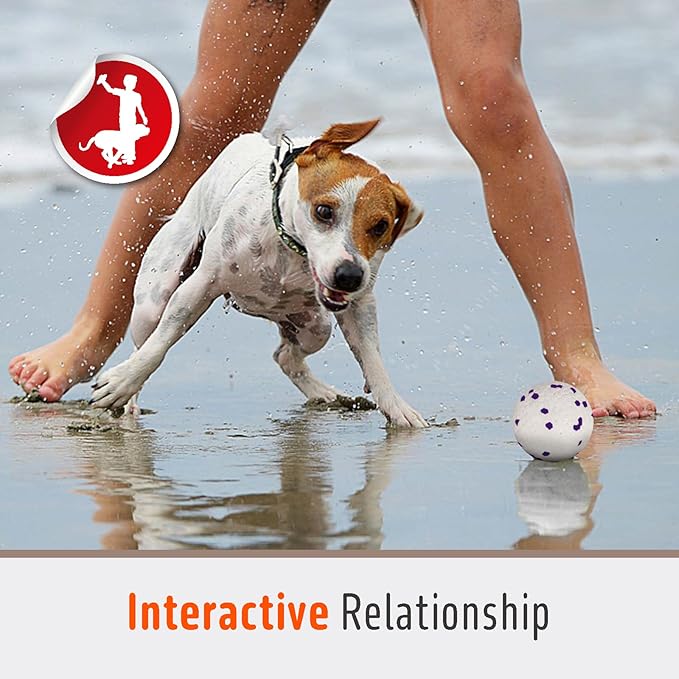 FOFOS Dog Balls Chew Toys Tennis Ball for Aggressive Chewers Teething Molar Toys Water Toy Interactive Fetch Balls Gift Set for Large Medium Dog and Puppies (4 Pack-White)