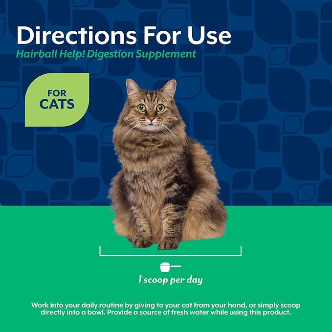 NaturVet Scoopables Hairball Aid for Cats - Helps Prevent & Eliminate Hairballs - Psyllium Husk & Pumpkin - Salmon Flavored Cat Health Supplement - Tastes Like Treats & Prevents Hairballs | 5.5oz Bag