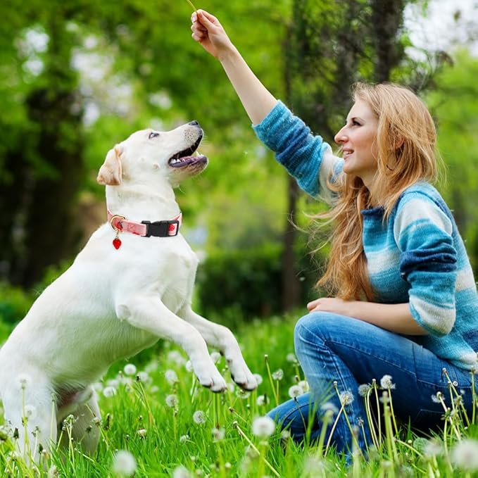 Cute Cotton Dog Collar for Small Medium Large Dogs Special Design with Cute Pink Strawberries Pendant Necklace for Girl Boy Male Female Dogs Pet Collar Soft Fabric Adjustable Puppy Collars Red - M