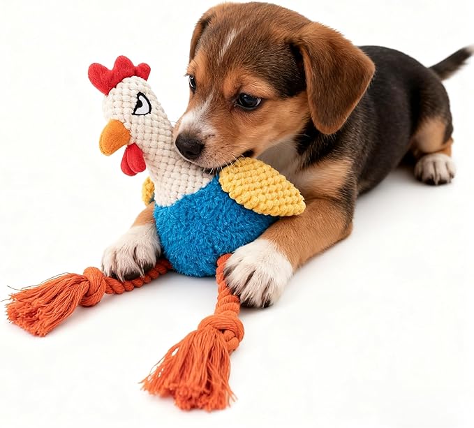 Plush Chicken Dog Toy with Squeaker, Interactive Rope Legs, Colorful Textured Rooster Chew Toy for Small, Medium Dogs, Tug-of-War, Fetch