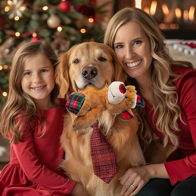 Christmas Bear Plush Dog Toys with Crinkle Paper - Interactive Squeaky Toys for Puppy Medium Small Dogs - Cleaning Teeth and Relieving Anxiety