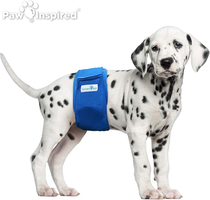 Paw Inspired 3-Count Reusable Male Dog Wraps, Washable Diapers for Male Dogs, Belly Bands for Incontinence, Surgery, Male Marking (Small Size, Assorted Colors with Black Lining, Pack of 3)