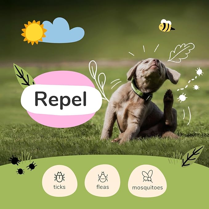 kin+kind Plant Based Flea and Tick Spray for Dogs and Cats – Essential Oil Formula with Lemongrass – Flea and Tick Prevention for Cats, Kittens, Puppies & Dogs - Pet Supplies - Family Safe – 32 fl oz