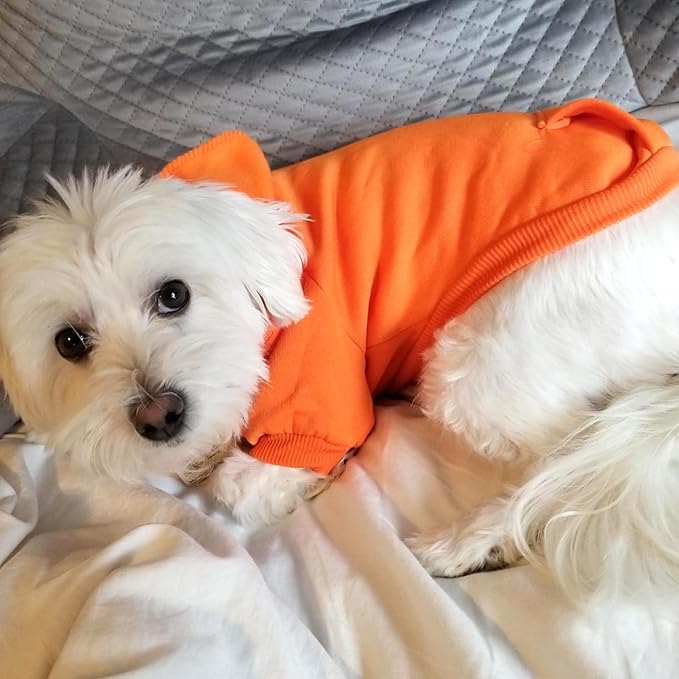 Jecikelon Winter Dog Hoodie Sweatshirts with Pockets Warm Dog Clothes for Small Dogs Chihuahua Coat Clothing Puppy Cat Custume (Orange, Small)