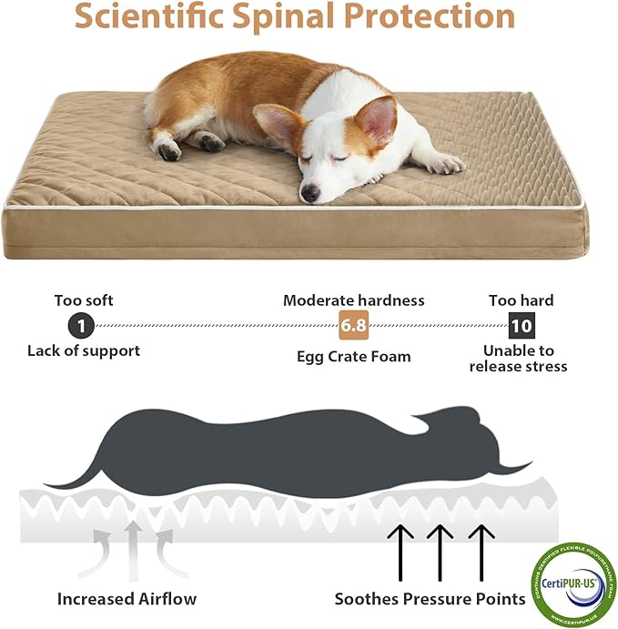 WNPETHOME Orthopedic Dog Bed Medium Size Dog, Waterproof Medium Dogs Bed with Removable Washable Cover, Multi-Needle Quilting Dogs Crate Bed