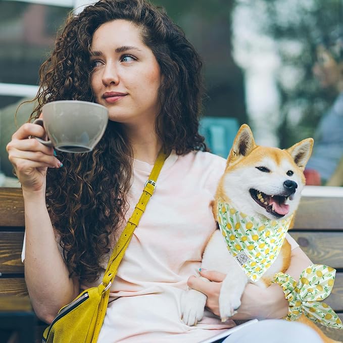 E-Clover Summer Lemon Dog Bandanas & Matching Scrunchie Set Green Stripe Dog Scarf Bibs Pet Bandana with Bow Tie for Small Dogs Puppy Owner Mom