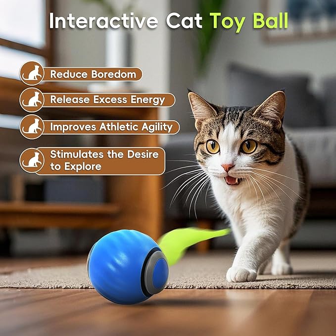 Interactive Cat Toy 2.0, Automatic Moving Cat Toys for Indoor Cats, Electric Rolling Pet Ball with Tail, Two Speed Adjustment, Pet Game Toy (Blue)