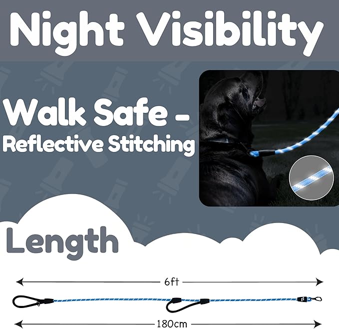 Premium 6 Ft Dog Leash - Two Extra Padded Handles, Heavy Duty Leashes for Medium Dogs to Large Breeds, Reflective, Shock-Absorbing, Anti-Pull Rope Leash, Strong Pet Lead for Everyday Walks - Roam Gear