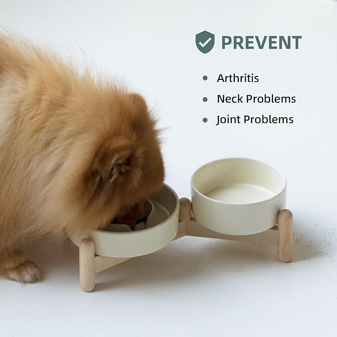 Ceramic 0.9 Cup Raised Slow Feeder Dog Bowl Set, Elevated 5.1inch Water Bowl and 6.1inch Puzzle Slow Pet Food Dish with Wooden Stand for Small Dog and Cat, Anti-Gulping (2 x Beige+ Stand)