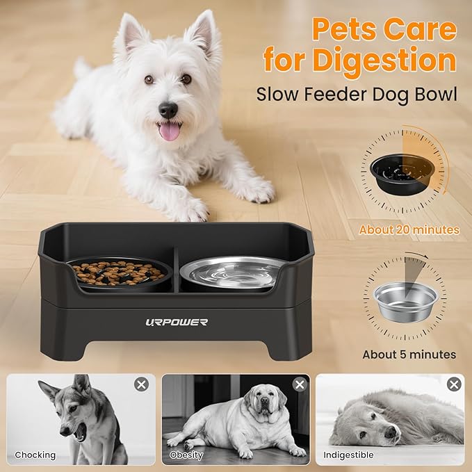 URPOWER Mess Proof Elevated Dog Bowls 4 Height Adjustable Raised Dog Bowl Stand with Stainless Steel Bowl, Slow Feeder & Licking Plate for Small, Medium & Large Dogs