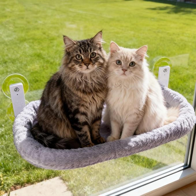 Cat Window Perch with Strong Suction Cups, Cat Window Hammock Foldable Bed with Breathable Mesh, All-Season Lounger for Medium Small Cats to Bird Watch & Sunbathe (Grey, XL)