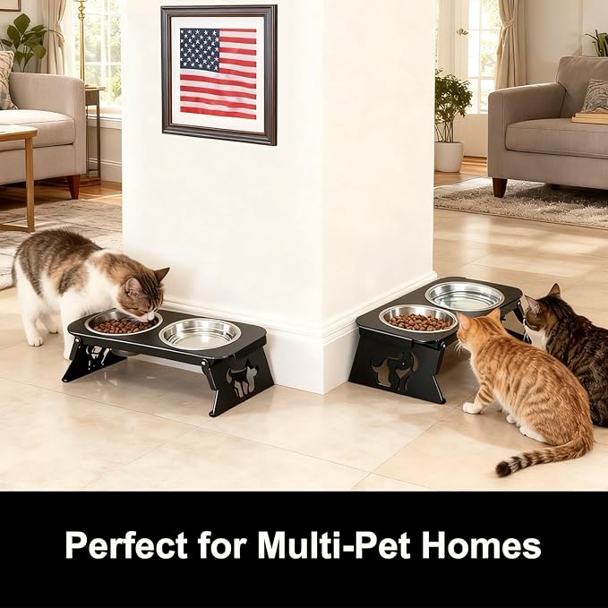 2 Set Elevated Cat Bowls, 4 Stainless Steel Bowls with Cute Raised Metal Stand for Food&Water, Zero Assembly, 12°Tilted Anti-Vomiting Cat Dishes for Indoor Cats/Multiple Kitten/Puppy