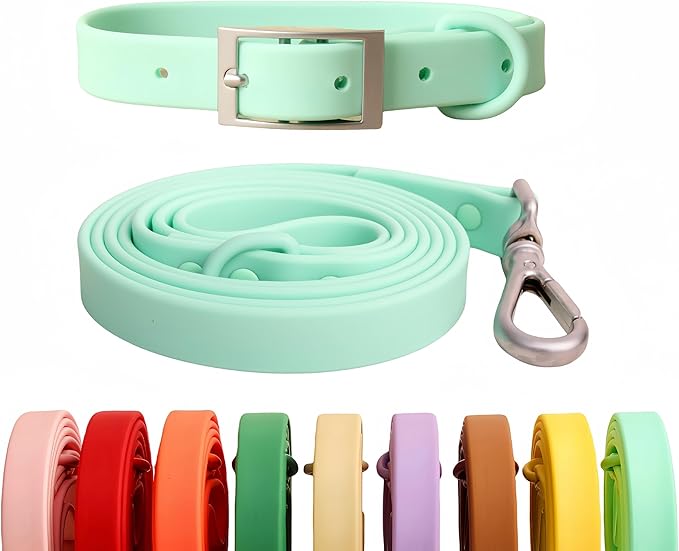 Dog Collar and Leash Set, Durable Waterproof Dog Leashes Collars, 5 Length Setting Adjustable Dog Collars for Large Medium Small Dogs (Mint Green, L)