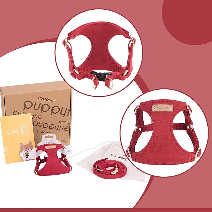 Puppytie No Pull Small Dog Harness with Multifunction Dog Leash,Lightweight Soft Adjustable No Choke Escape Proof Pet Harness Vest Pet Harness Vest,red Hawthorn,S