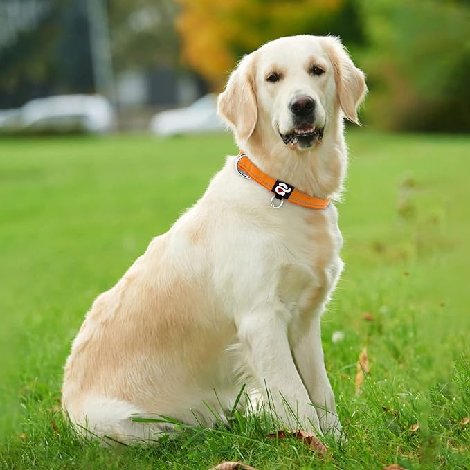 azuza Reflective Dog Collar, Soft Neoprene Padded Pet Collar with ID Tag Ring, Adjustable for Large Dogs,Orange,L