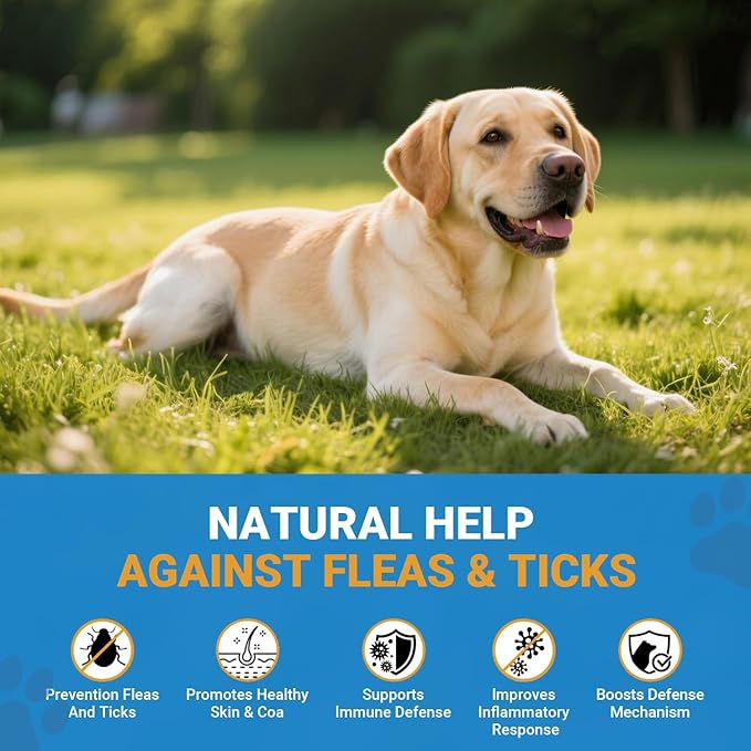 Flea and Tick Prevention for Dogs, 200 Soft Chews Natural Dog Flea and Tick Chewables Oral Flea Supplement for Dogs, Puppy Flea Support - All Breeds & Ages - Chicken Flavor