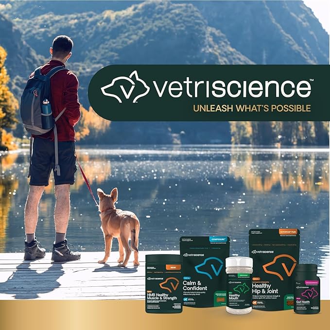 VetriScience Extra Strength Gut Health Easy-Open Capsules, Mega Probiotic and Prebiotic Digestive Supplement for Dogs and Cats, for Diarrhea and Immune Support, 7.5 Billion CFU Per Capsule, 120 Count