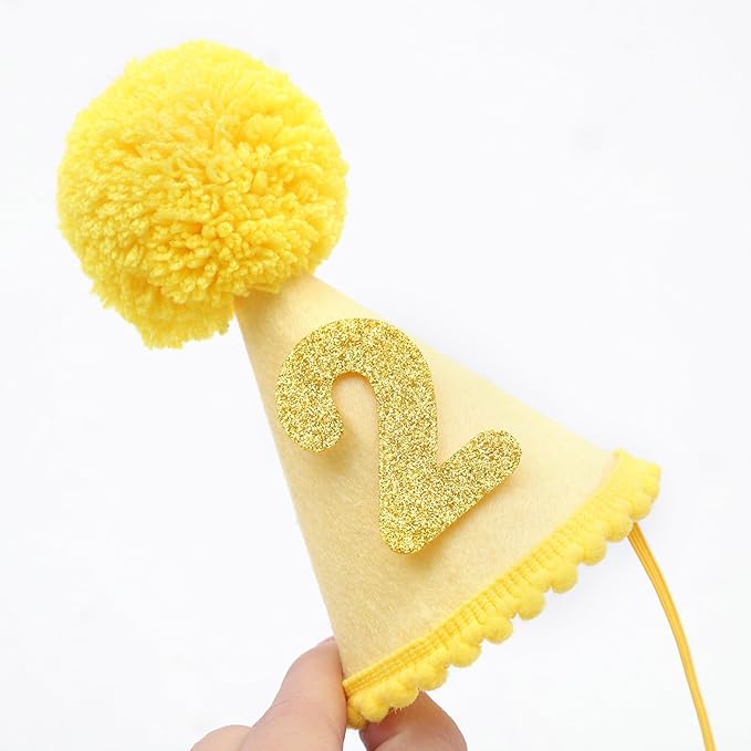 Pet Birthday Hat with Interchangeable Numbers 1-10 | Adjustable Pet Party Cone Hat for Dogs & Cats | Puppy Birthday Photo Props for 1st to 10th Birthday Celebrations (Yellow Birthday Pet Hat)