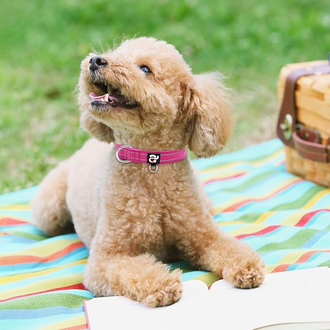 azuza Reflective Dog Collar,Soft Neoprene Padded Pet Collar with ID Tag Ring,Adjustable for Puppy and Small Dogs,Purple,XS