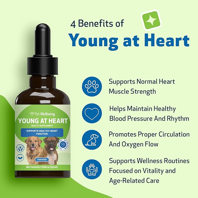 Pet Wellbeing Young at Heart for Dogs - Senior Heart Health Support, Cardiovascular Wellness & Vitality - NASC Certified & Vet-Formulated - 2 oz Liquid Formula