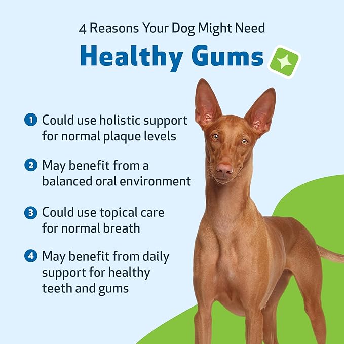 Pet Wellbeing Healthy Gums for Dogs - Topical Drops for Oral Care, Dental Health & Fresh Breath - NASC Certified & Vet-Formulated - 4 oz Liquid